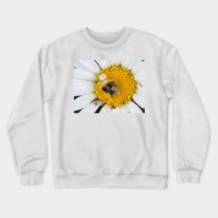 Tiny crab spider (likely male Misumena vatia) with lots of prey Crewneck Sweatshirt